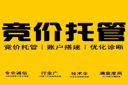 案例解析：SEM优化师如何提升广告ROI